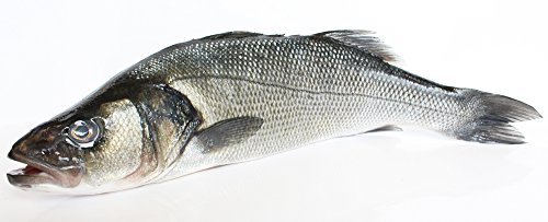 Algopix Similar Product 19 - Fresh Bronzino Whole Gutted