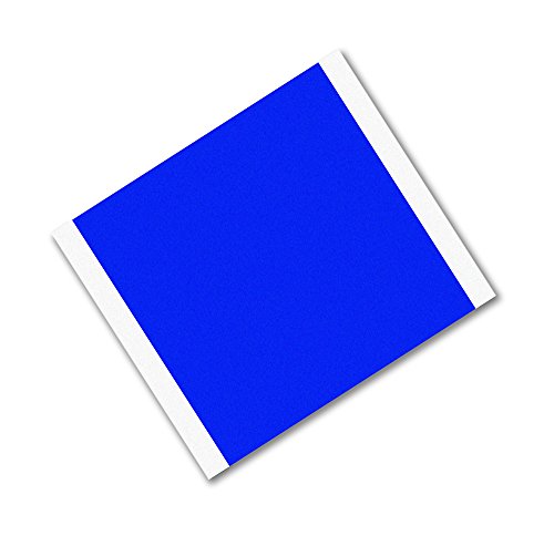 Algopix Similar Product 16 - 3M 8905 Blue PolyesterSilicone
