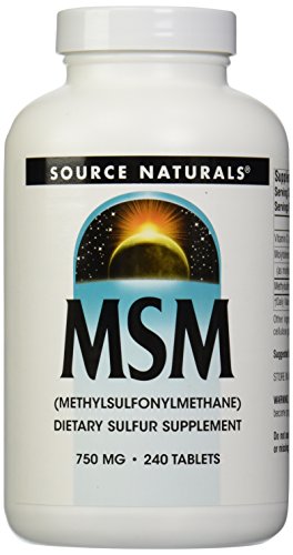 Algopix Similar Product 15 - Source Naturals MSM