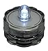 Algopix Similar Product 15 - Bluedot Trading LED Battery Operated