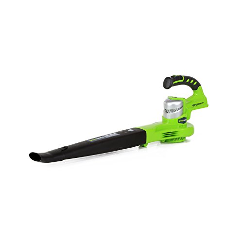 Algopix Similar Product 20 - Greenworks 24V 2Speed Cordless Leaf