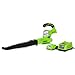 Algopix Similar Product 1 - Greenworks 24V Sweeper 20Ah Battery