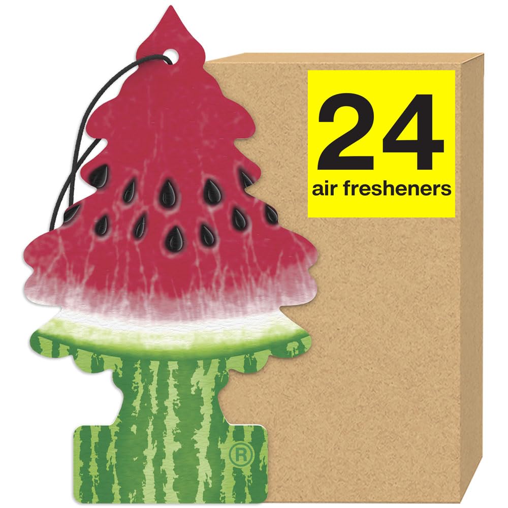 Algopix Similar Product 14 - LITTLE TREES Air Fresheners Car Air