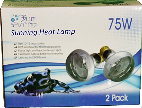Algopix Similar Product 4 - Sunning Heat Lamps 75 Watt 1 Value