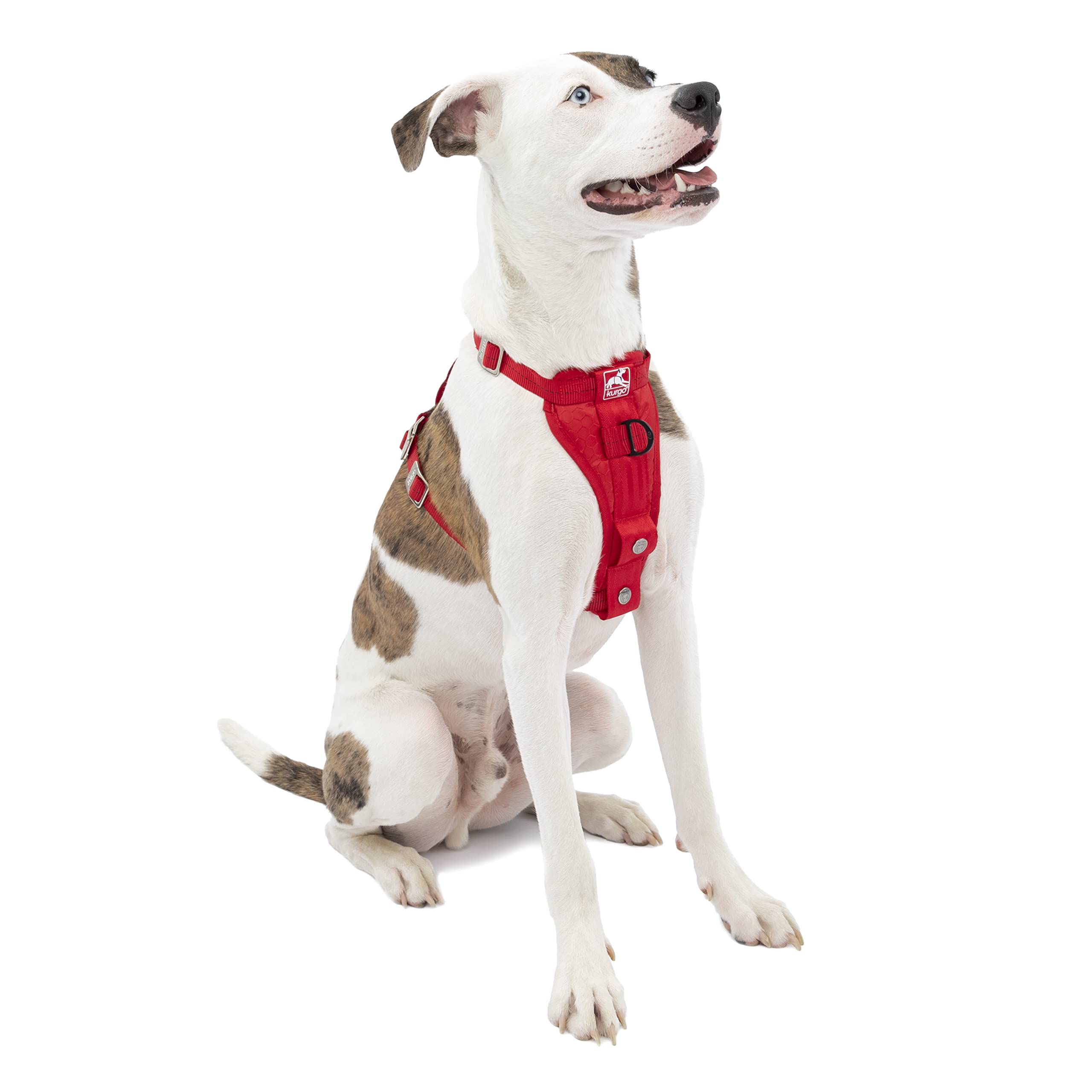 Algopix Similar Product 18 - Kurgo Enhanced Strength TruFit Dog Car