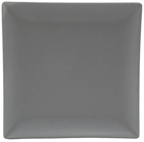 Algopix Similar Product 12 - 7069037 Dessert Plate Square
