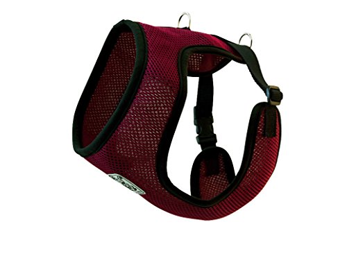Algopix Similar Product 18 - RC Pet Products Cirque Soft Walking Dog
