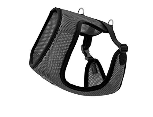 Algopix Similar Product 13 - RC Pet Products Cirque Soft Walking Dog