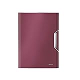 Algopix Similar Product 13 - Leitz A4 Expanding File with 6