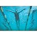 Algopix Similar Product 5 - StretchCordz Stationary Swim Trainer