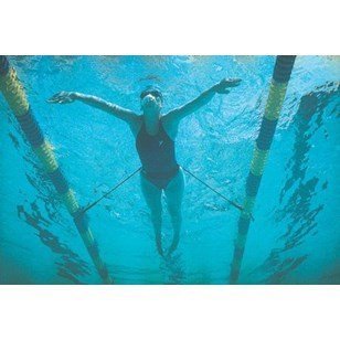Algopix Similar Product 14 - StretchCordz Stationary Swim Trainer