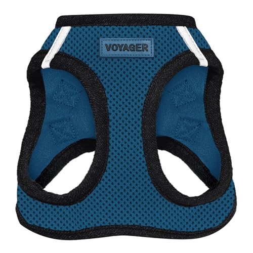 Algopix Similar Product 15 - Voyager StepIn Air Dog Harness  All