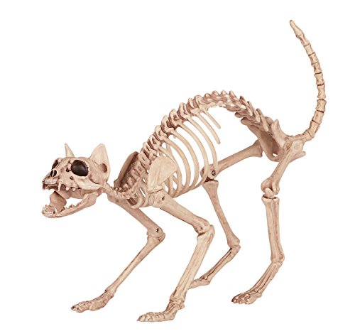 Algopix Similar Product 18 - Crazy Bonez Skeleton Cat
