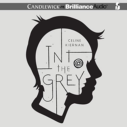 Algopix Similar Product 3 - Into the Grey
