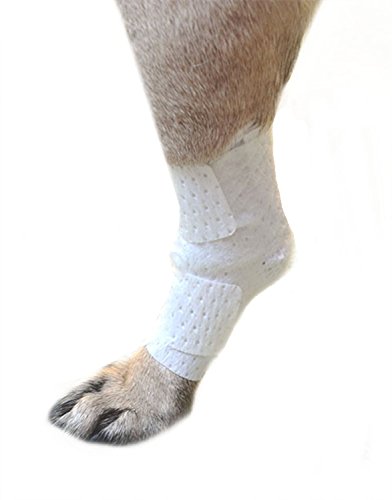 Algopix Similar Product 11 - Pawflex Bandages Universal Joint
