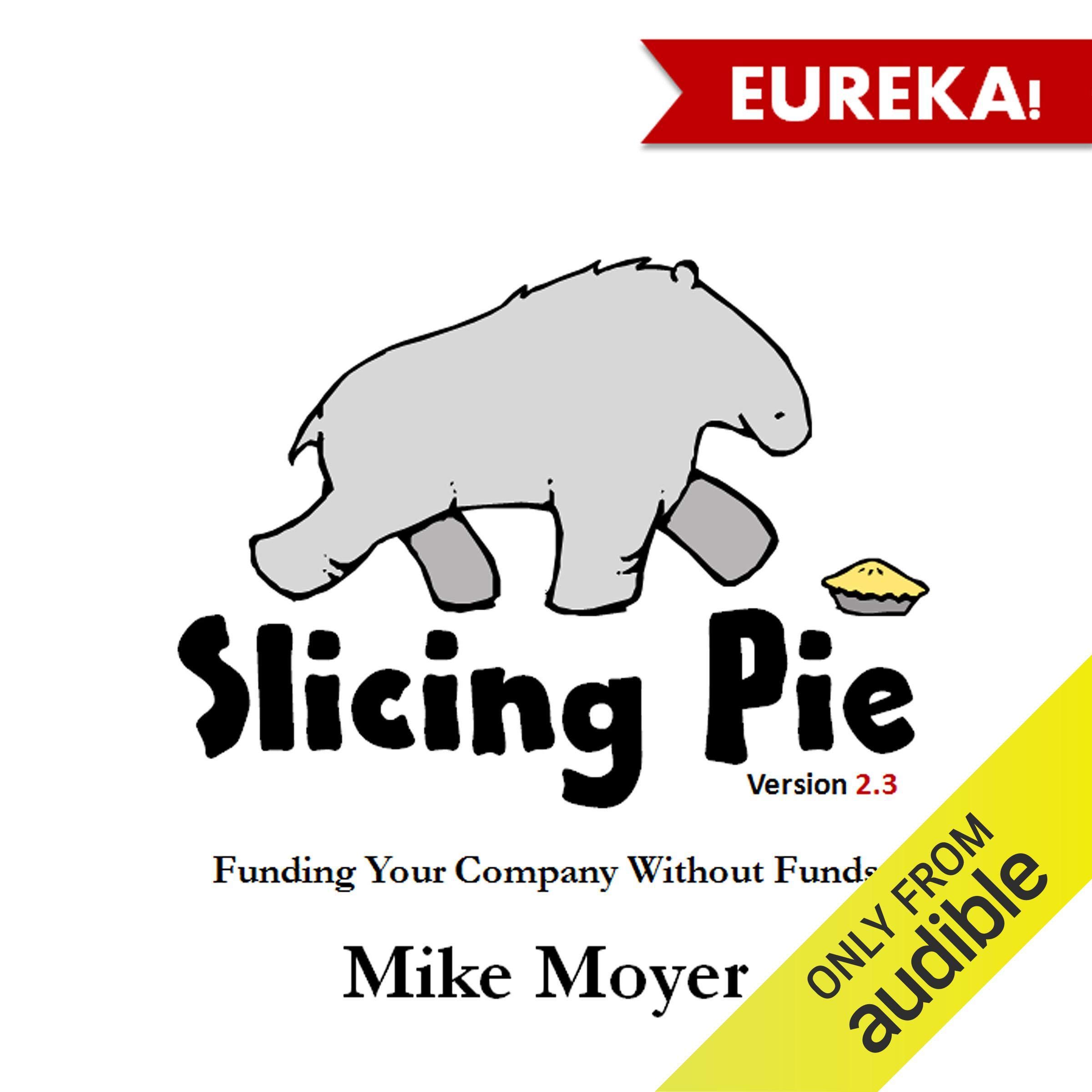 Algopix Similar Product 7 - Slicing Pie Funding Your Company