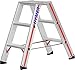 Algopix Similar Product 1 - Hymer Step Ladder 2 x 3 802406.0