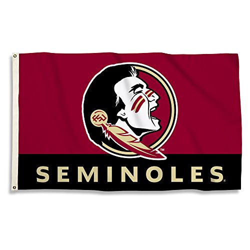 Algopix Similar Product 18 - BSI NCAA College Florida State