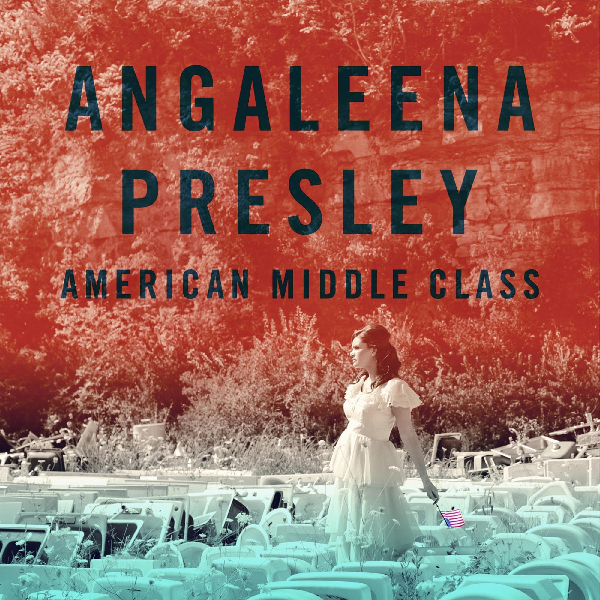 Algopix Similar Product 8 - American Middle Class