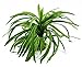 Algopix Similar Product 2 - CNZ Aquarium Decor Fish Tank Decoration