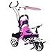 Algopix Similar Product 10 - Tricycle Stroller Bike 31 Stroller