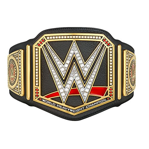 Algopix Similar Product 19 - WWE Authentic Wear Championship Kids