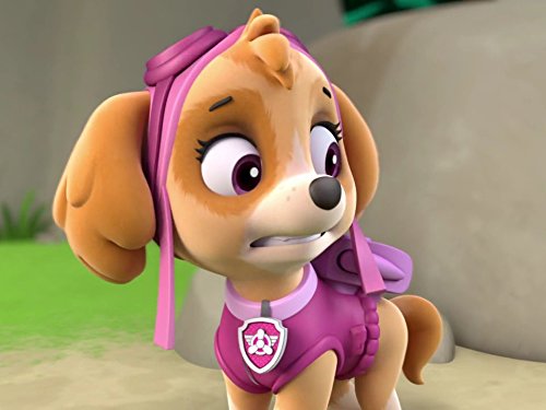 Algopix Similar Product 4 - Pups and the Pirate Treasure