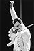 Algopix Similar Product 5 - Queen Freddie Mercury iconic pose fist