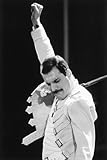 Algopix Similar Product 20 - Queen Freddie Mercury iconic pose fist