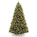 Algopix Similar Product 18 - National Tree Company PreLit Feel