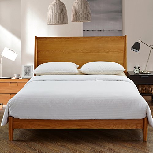 Algopix Similar Product 20 - MOONS SLEEPWARES Summer Full Size 100