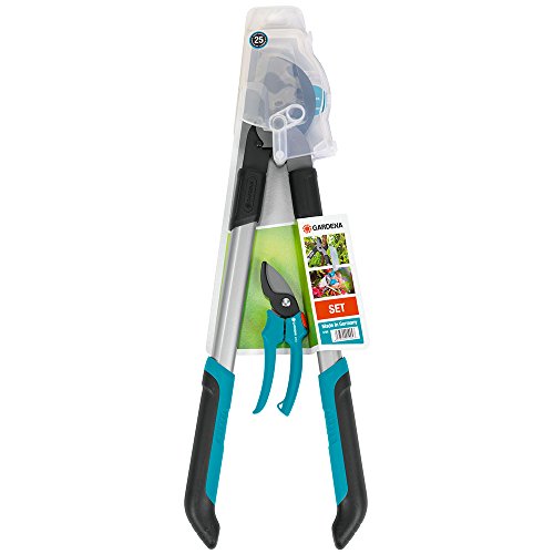 Algopix Similar Product 17 - Garden Shears-Set