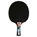 Algopix Similar Product 12 - Cornilleau Excell 1000 Table Tennis