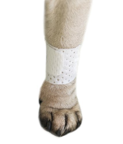 Algopix Similar Product 15 - Pawflex Bandages Basic Bandages for