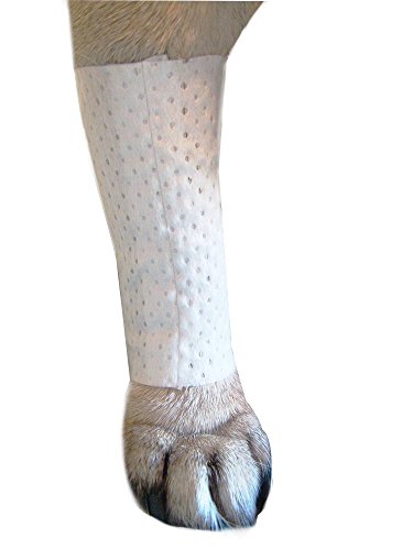 Algopix Similar Product 18 - Pawflex Bandages Protective Covers for