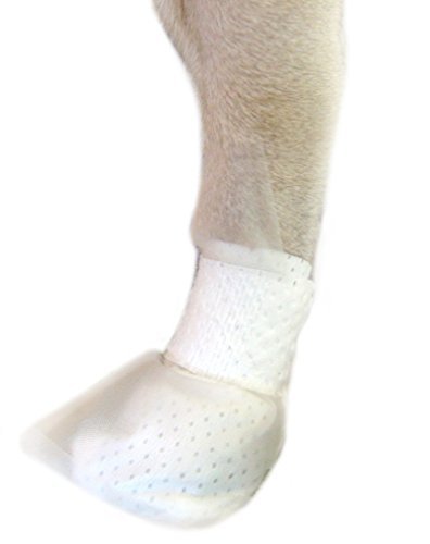 Algopix Similar Product 1 - Pawflex Waterproof Paw MediMitt Covers