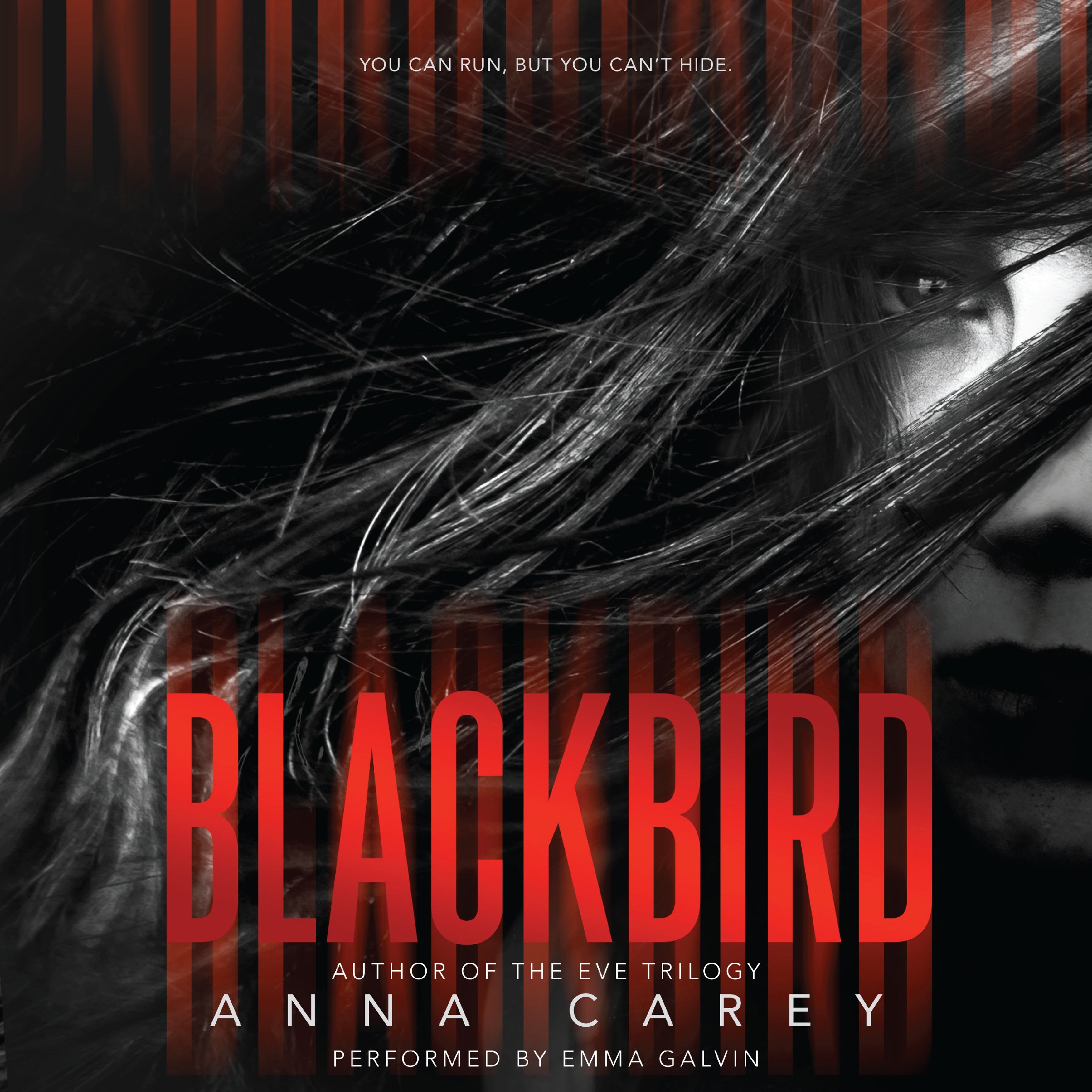 Algopix Similar Product 17 - Blackbird
