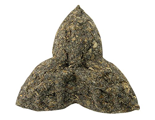 Algopix Similar Product 6 - Petstages 730 Pressed Mint Leaves All