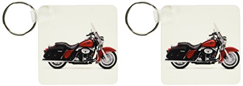 Algopix Similar Product 20 - 3dRose Key Chain Picturing
