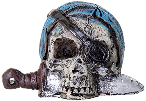 Algopix Similar Product 5 - BioBubble Origins Pirate Skull