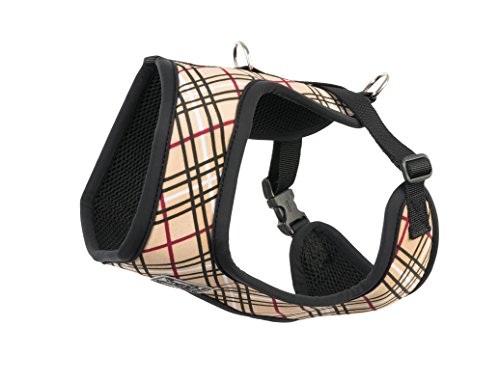 Algopix Similar Product 1 - RC Pet Products Cirque Soft Walking Dog