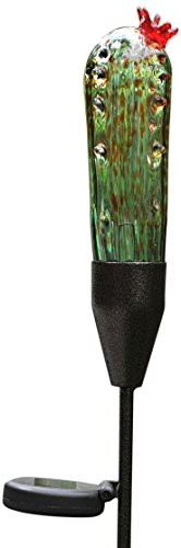 Algopix Similar Product 10 - Coloriscape Firefly Solar Cactus