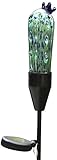 Algopix Similar Product 3 - Coloriscape Firefly Solar Cactus