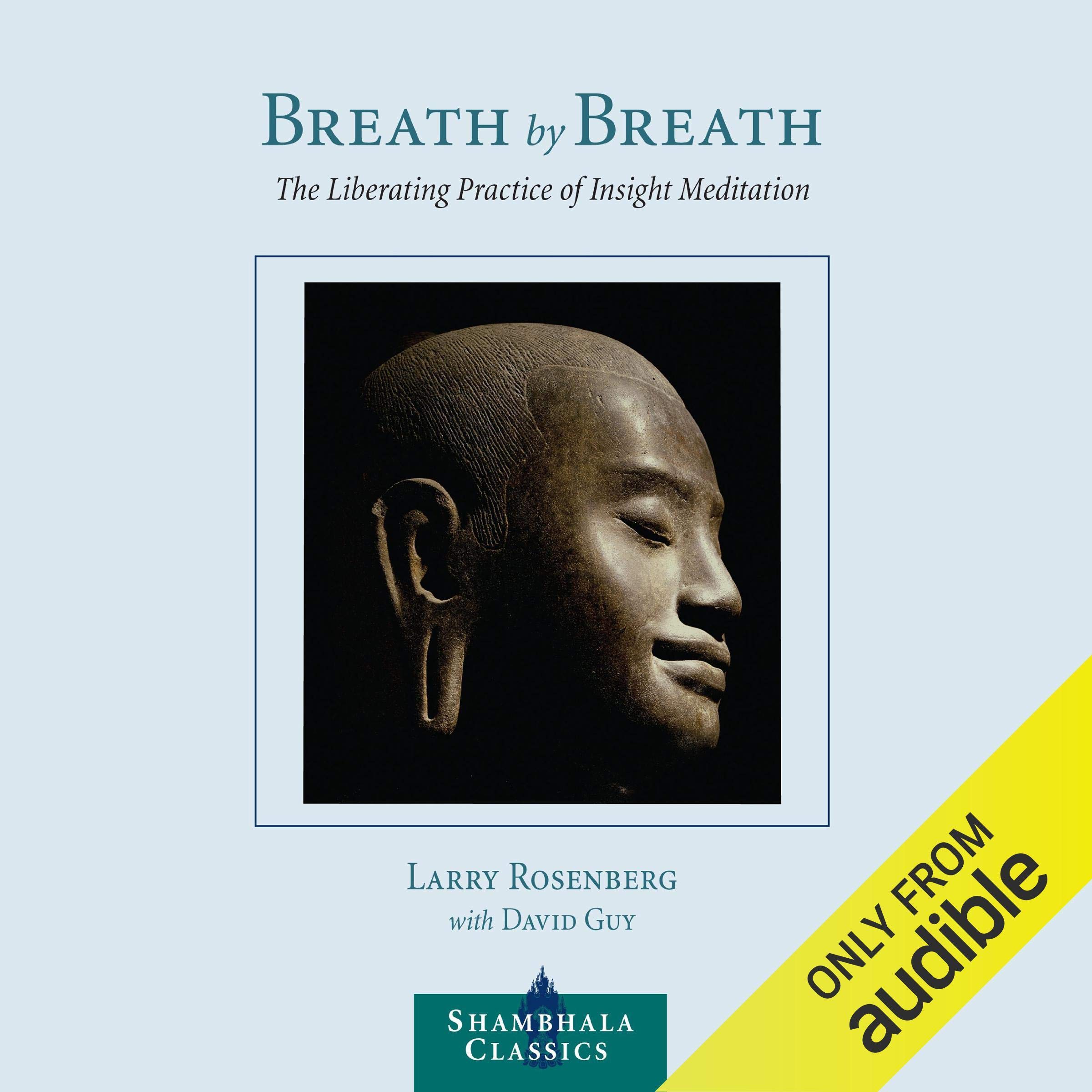 Algopix Similar Product 20 - Breath By Breath The Liberating