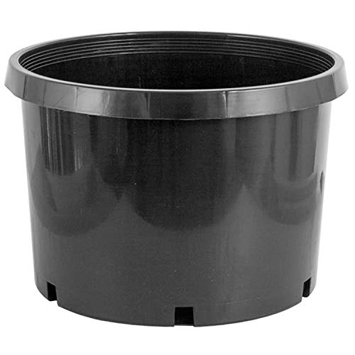 Algopix Similar Product 20 - Pro Cal 10 Gallon Premium Nursery