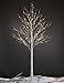 Algopix Similar Product 14 - LIGHTSHARE 8FT 132 LED Birch