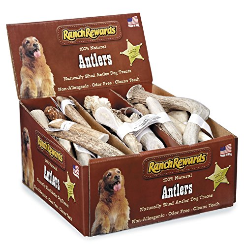 Algopix Similar Product 3 - Ranch Rewards 36Piece Deer Antler