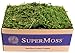 Algopix Similar Product 15 - SuperMoss Forest Moss Preserved