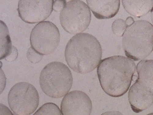 Algopix Similar Product 17 - Glass Bead 200 Mesh Blasting Abrasive