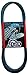 Algopix Similar Product 17 - DD PowerDrive 1739944 BOLENS Kevlar